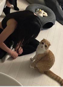 y...
