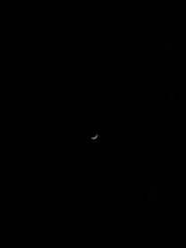 ���A�̉�...