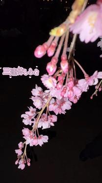 ���v����...