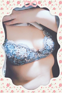 �u���O�摜
