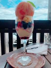 �u���O�摜