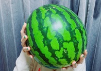 �u���O�摜