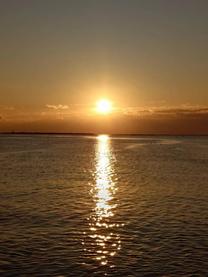 �N������