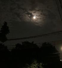 εβ
