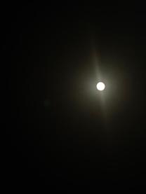 εβ