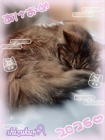 ���ε����β���