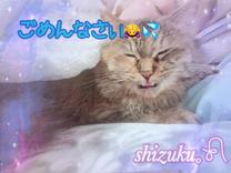 ���ε����β���