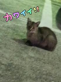 εβ