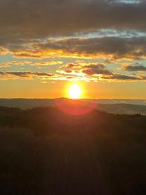 ��������?