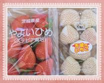 ���ε����β���