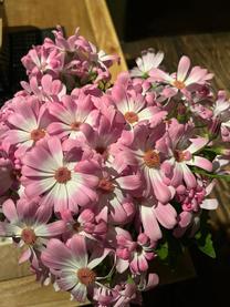 ���ε����β���