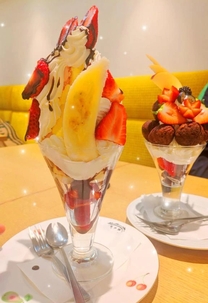 �u���O�摜