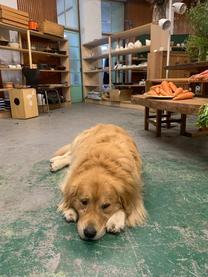 ���ε����β���