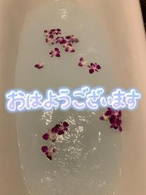 ���ε����β���