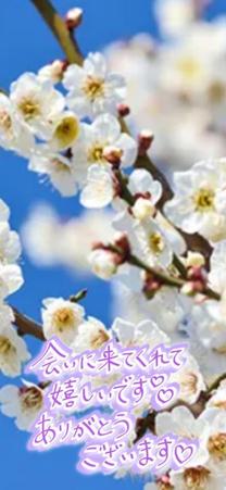 �u���O�摜