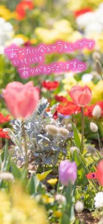 ���ε����β���