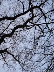 ���ε����β���