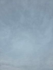 ����ɂ���?