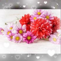 ?21������...