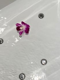 ���ε����β���