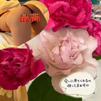 ���ε����β���