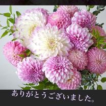 ���ε����β���