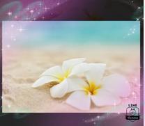 ���ε����β���