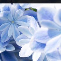 ���ε����β���