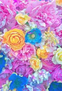 ���ε����β���