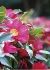 ���ε����β���