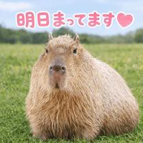 �y�j��?�̉摜