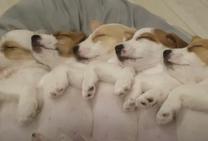 ���ε����β���