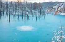 ���ε����β���