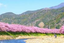 ���ε����β���