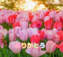肪Ƃ܂
