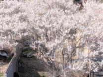 ���ε����β���