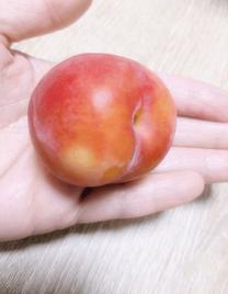 �u���O�摜