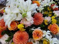 ���ε����β���