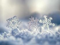 ����A�D...