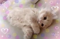 �����̏o��?