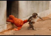 ���ε����β���