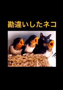 ���ε����β���