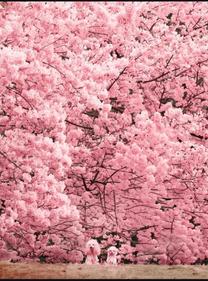 �{���A3/1(��)??