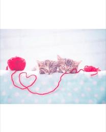 ���ε����β���