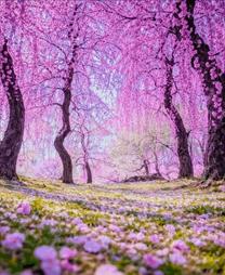 ���ε����β���