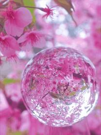 ���ε����β���