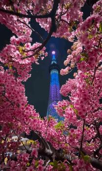 ���ε����β���