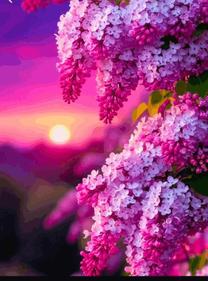 �u���O�摜