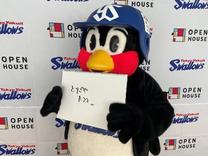 �u���O�摜