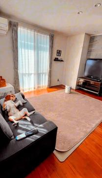 �u���O�摜